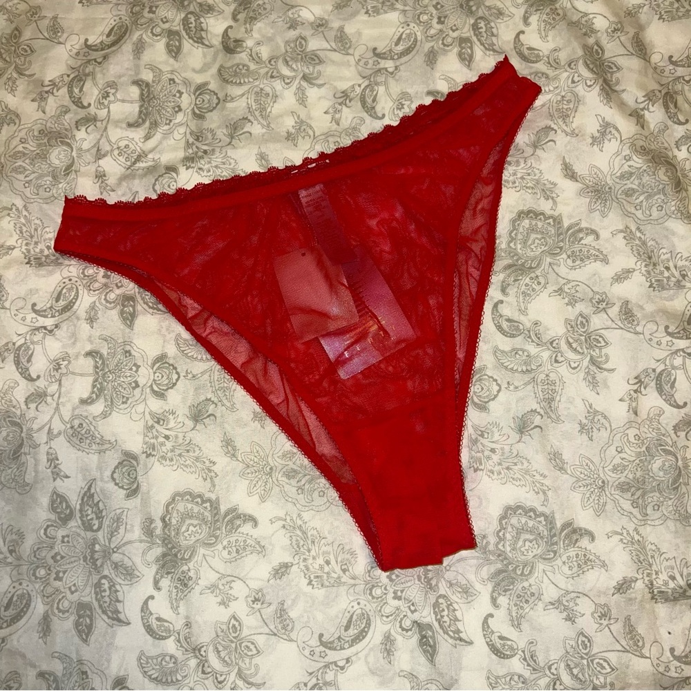 Savage X Fenty Red Sheer High Waisted Panties Large